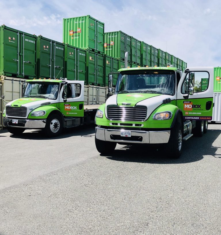 Antique and Collectible Storage: Shielding Your Valuables with Mobox Storage